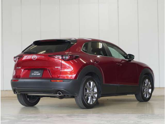 CX-302.0 20S