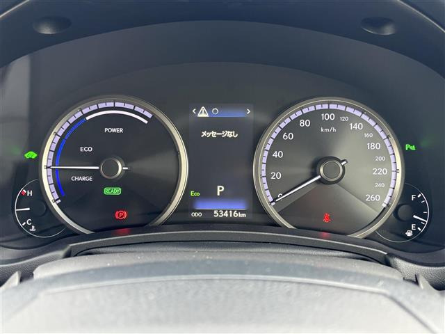 NX300h Fスポーツ