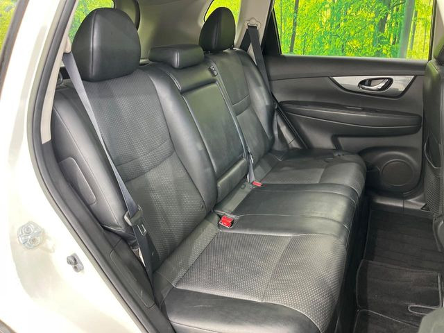 �㕔���Ȃ��C�ɂȂ�悤�ȃL�Y�E�����ւ��蓙�A�傫�ȃ_���[�W�͂Ȃ��A�ǍD�ȏ�Ԃł��B