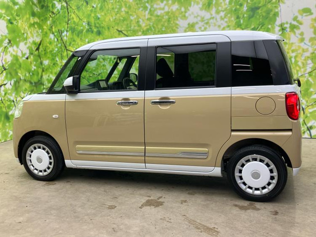 ムーヴキャンバスストライプス G