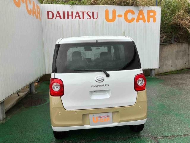 ムーヴキャンバスセオリー X