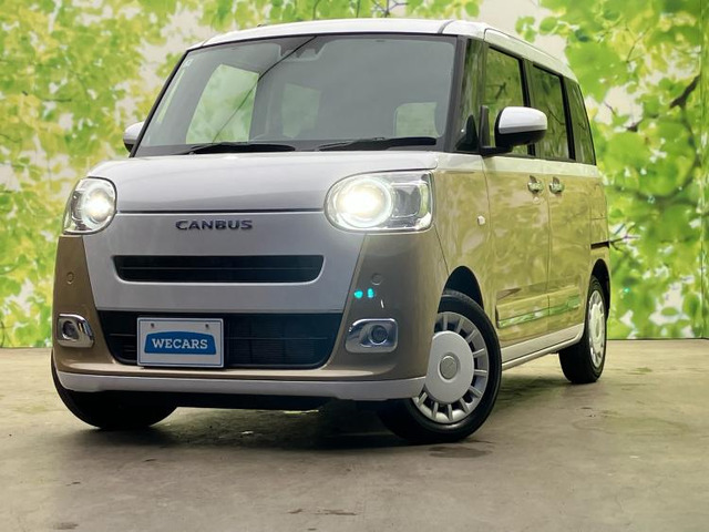 ムーヴキャンバスストライプス G