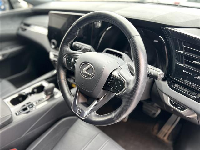 RX500h Fスポーツパフォーマンス 4WD