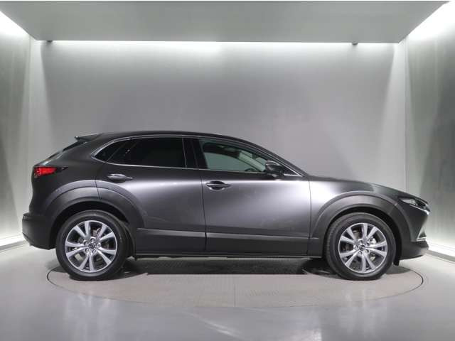 CX-302.0 20S プロアクティブ ツーリングセレクション 4WD