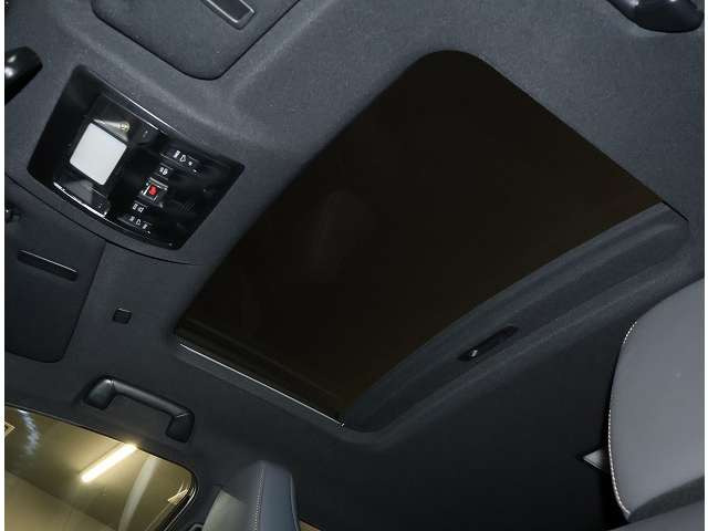 NX300 ブロンズ エディション