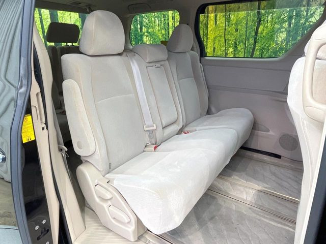 �㕔���Ȃ��C�ɂȂ�悤�ȃL�Y�E�����ւ��蓙�A�傫�ȃ_���[�W�͂Ȃ��A�ǍD�ȏ�Ԃł��B