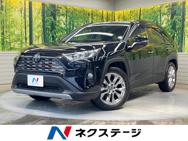 RAV42.0 G Zパッケージ 4WD