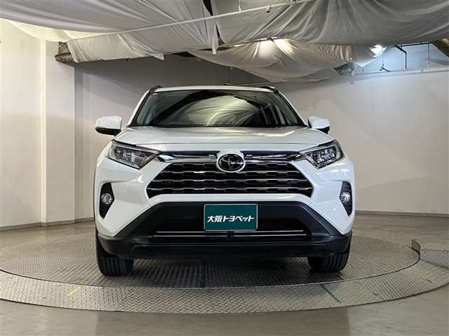RAV42.0 X