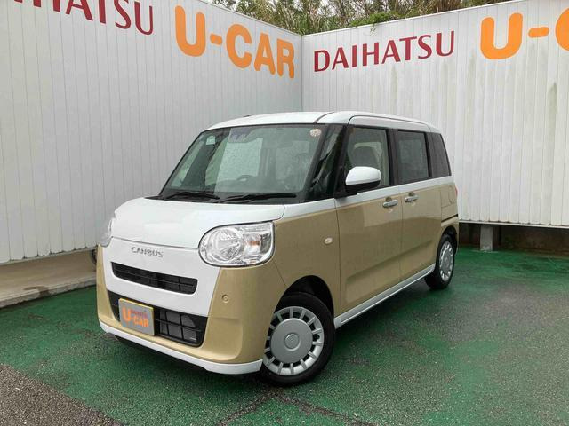 ムーヴキャンバスセオリー X