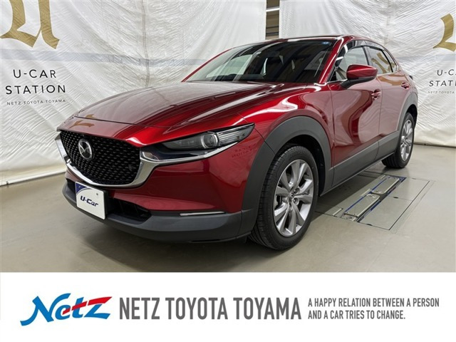 CX-302.0 20S プロアクティブ