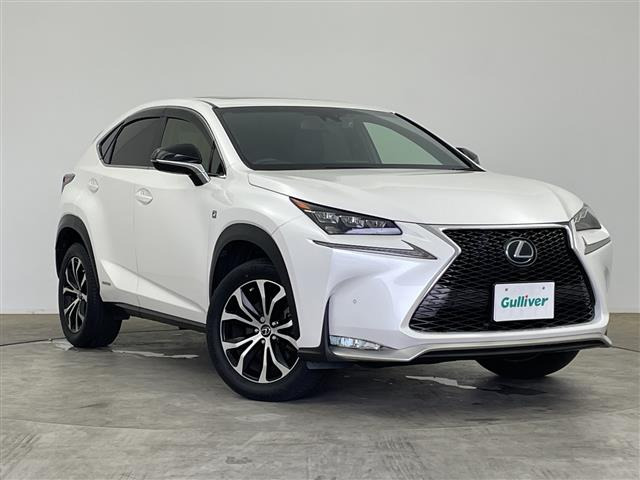 NX300h Fスポーツ