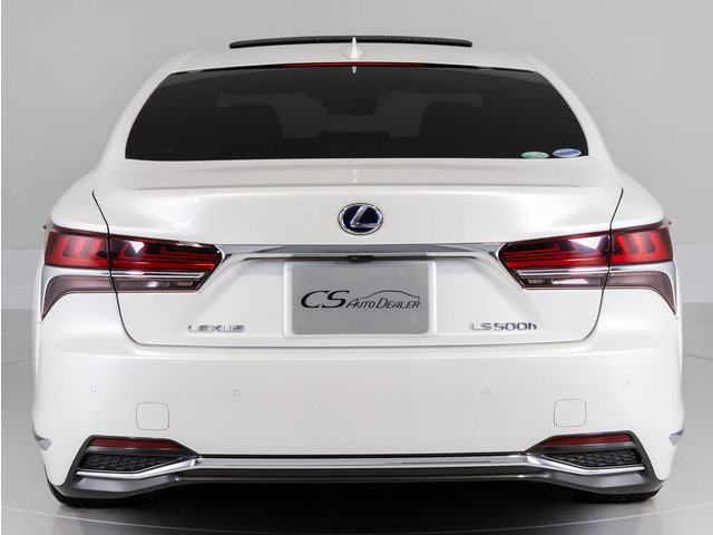 �l�C�̔��n�{�f�B!�\�j�b�N�N�H�[�c�O��!