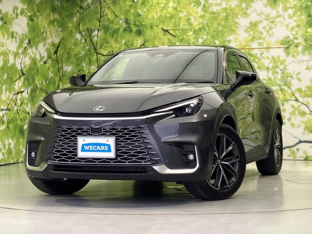 LBXクール E-Four 4WD