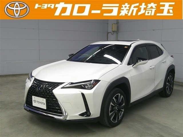 UX250h グレイスフル エクスプローラー