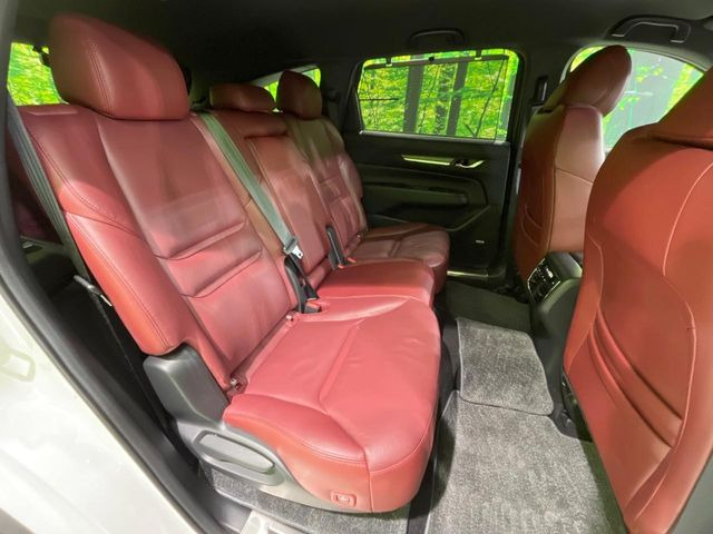 �㕔���Ȃ��C�ɂȂ�悤�ȃL�Y�E�����ւ��蓙�A�傫�ȃ_���[�W�͂Ȃ��A�ǍD�ȏ�Ԃł��B