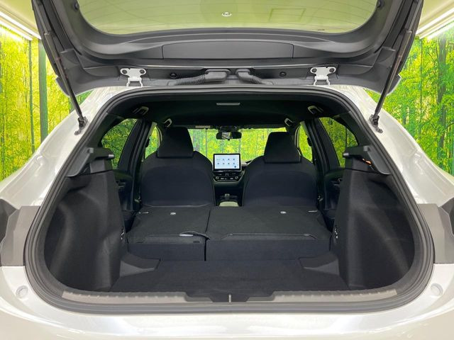 �㕔���Ȃ��C�ɂȂ�悤�ȃL�Y�E�����ւ��蓙�A�傫�ȃ_���[�W�͂Ȃ��A�ǍD�ȏ�Ԃł��B