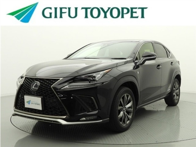 NX300h Fスポーツ