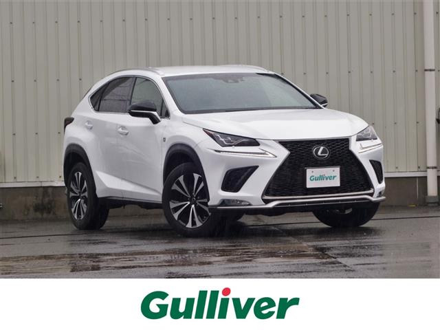 NX300 Fスポーツ 4WD