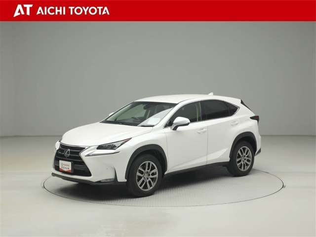 NX300h バージョンL