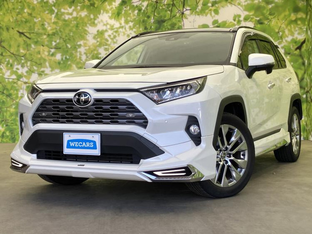 RAV42.0 G Zパッケージ 4WD