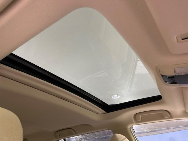 �y�T�����[�t�z�J���������Ղ�̊󏭑����A�T�����[�t����������Ă��܂�!�ԓ��ɖ�����������ꂽ��i�F���y���ވȊO�ɂ��A�ԓ��̋�C���ȒP�Ɋ��C�ł��ĉ��K�ł�!