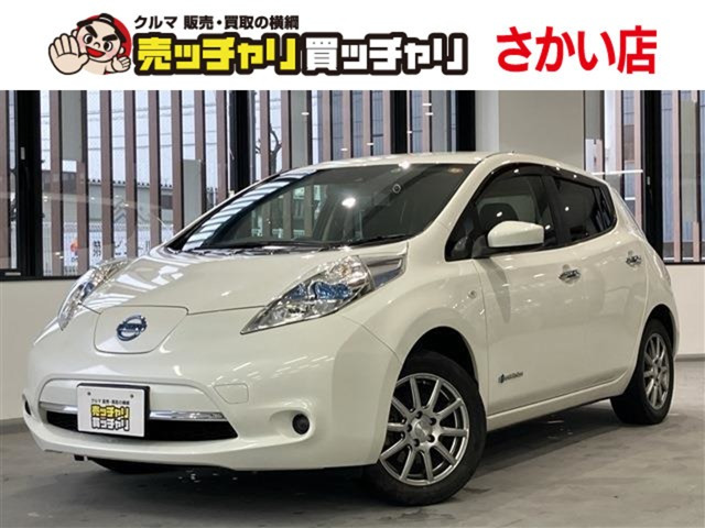 リーフ30kWh X