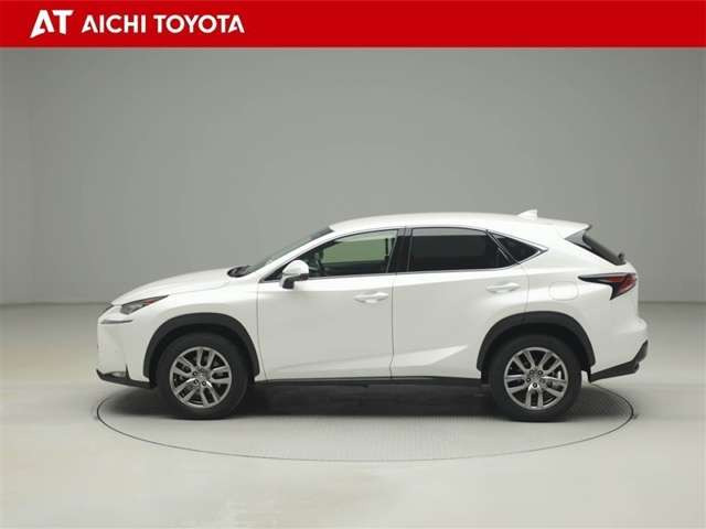 NX300h バージョンL