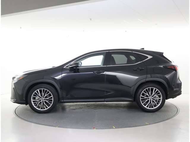 NX250 バージョンL