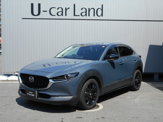 CX-30