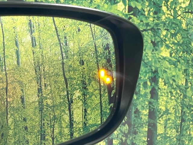 �y������p���m�z���s���A�h�A�~���[�̎��p�ɂȂ�₷���ӏ��Ɍ㑱�Ԃ��ڋ߂���ƃT�C�h�~���[�t�߂Ɍx����\���A�h���C�o�[�ɒ��ӊ��N�����Ă���܂��B