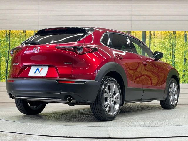 ���S���̃l�N�X�e�[�W���炨���񂹂��\��!�����̓X�܂ɓW�����Ă���N���}���C�ɂȂ�ꍇ���A�Ŋ��̓X�܂ł��������������Ƃ��\�ł�!���񎄂����ɗv�]������������������!���ʓr��p