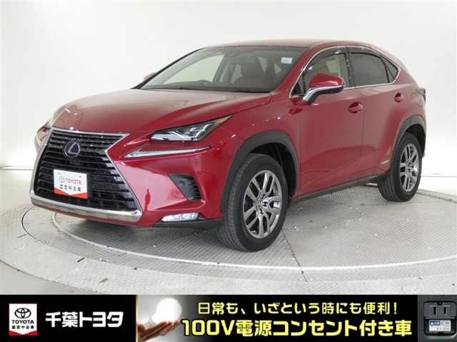 NX300h バージョンL