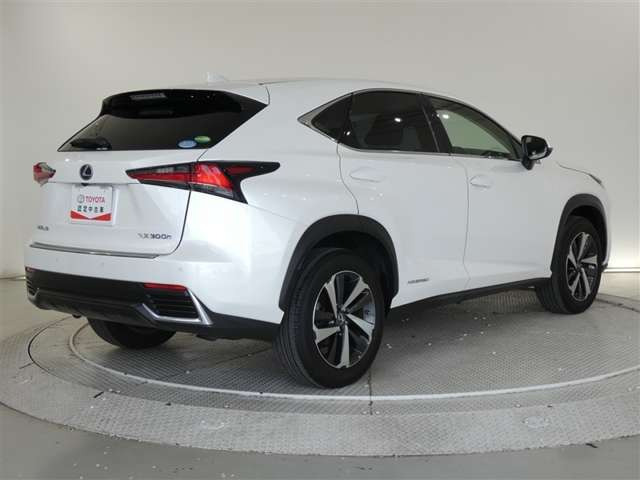 NX300h バージョンL