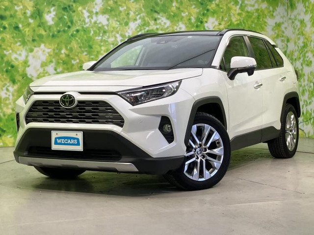 RAV42.0 G Zパッケージ 4WD