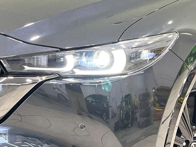 �yLED�w�b�h���C�g�z���V����ԑ��s�����ǍD�Ȏ��E���m�ۂ����S���ĉ^�]�ł��鍂�P�xLED�w�b�h���C�g�𑕔�!�_�����x�������A����d�͂��}�����Ă��܂��B