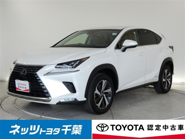 NX300h バージョンL