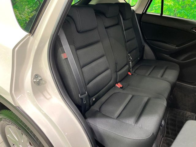 �㕔���Ȃ��C�ɂȂ�悤�ȃL�Y�E�����ւ��蓙�A�傫�ȃ_���[�W�͂Ȃ��A�ǍD�ȏ�Ԃł��B