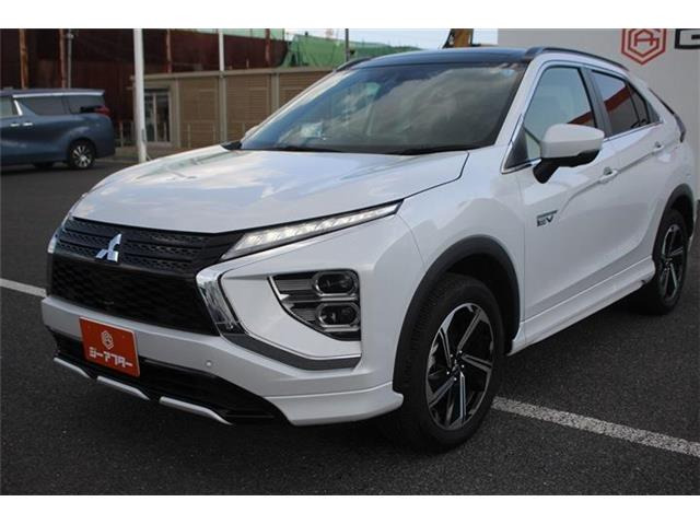 ���Ǝҗl�ւ̔̔��͂��f�肳���Ă��������܂��B �Ԍ������ԗ��̏ꍇ�́A�Ԍ����擾�������x�������z�ŕ\�����Ă���܂��B