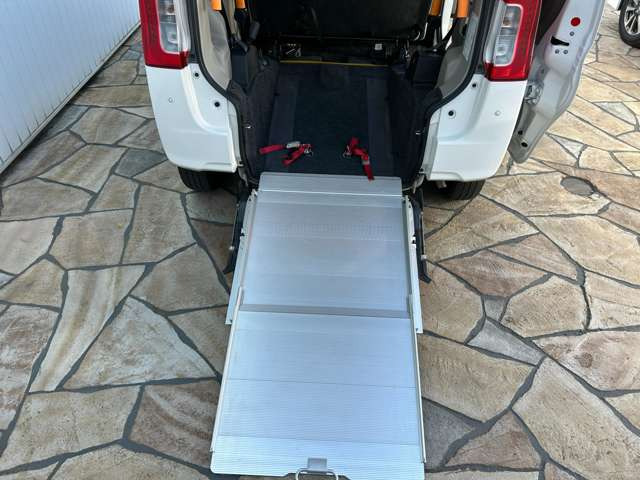 タントフレンドシップ スローパー L SAIII