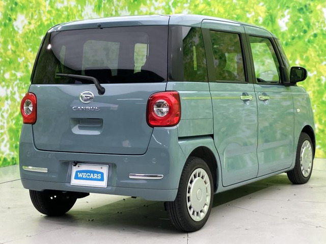 ムーヴキャンバスセオリー X