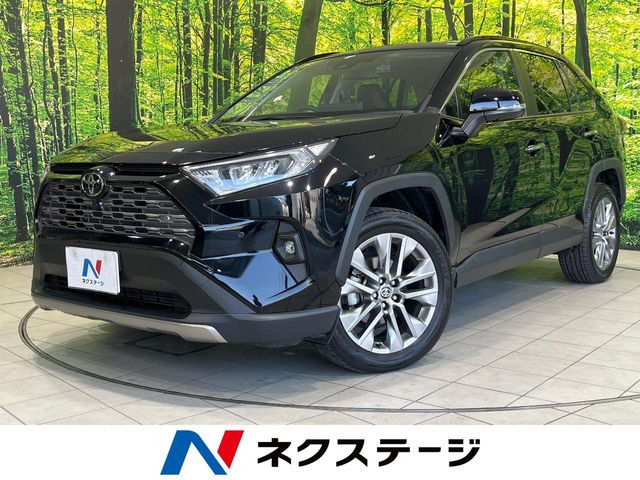 RAV42.0 G Zパッケージ 4WD