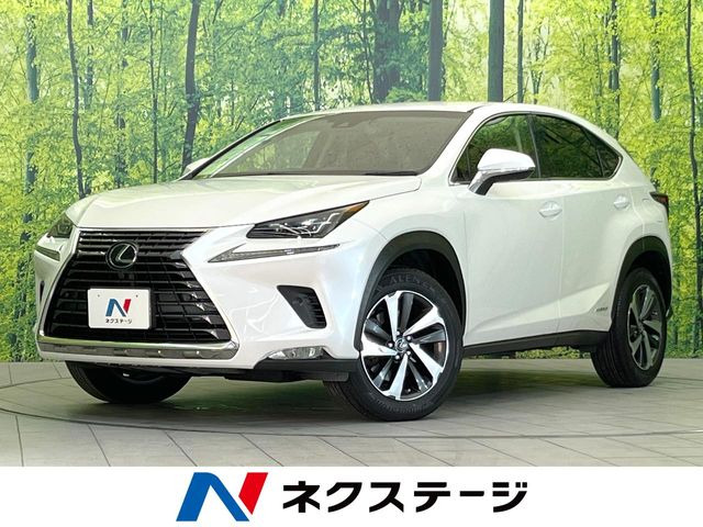 NX300h Iパッケージ