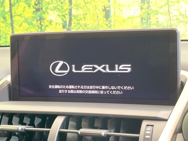 NX300h Iパッケージ