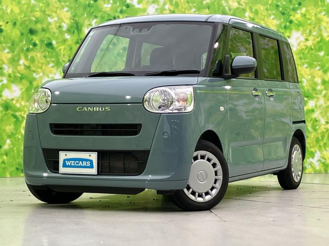 ムーヴキャンバスセオリー X