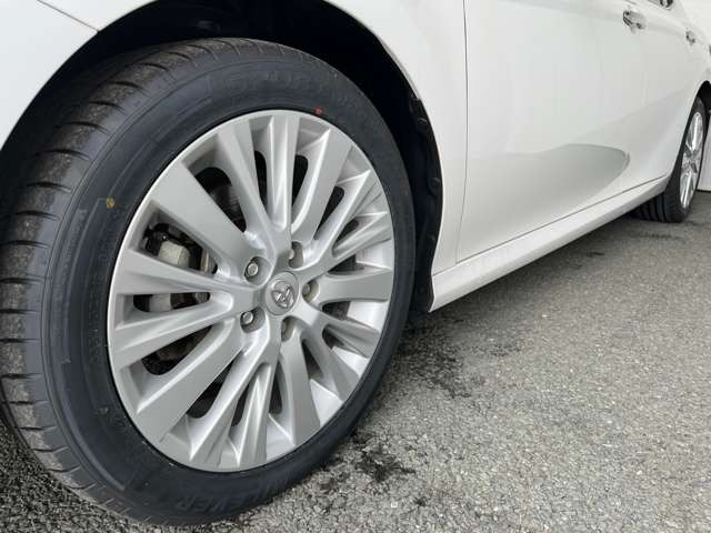 ���k���[���ɂ̓L�b�Y���[�������p�ӂ��Ă���܂��􂨎q�l�A��ł��������Ƃ��Ԃ����I�т��������܂�!