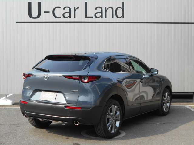 CX-301.8 XD Lパッケージ 4WD