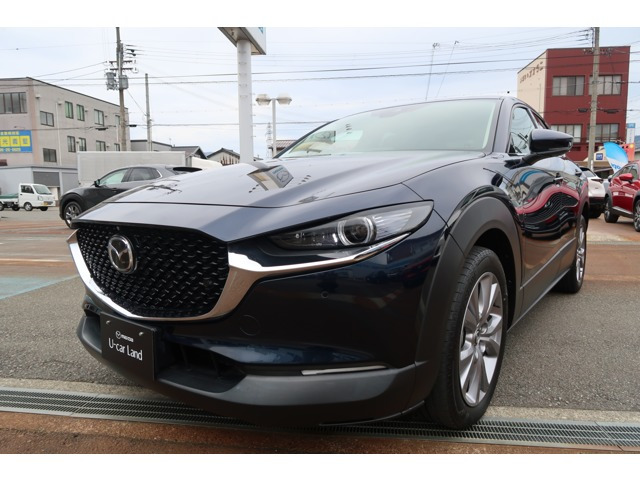 CX-301.8 XD プロアクティブ ツーリングセレクション 4WD