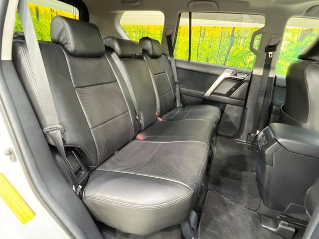 �㕔���Ȃ��C�ɂȂ�悤�ȃL�Y�E�����ւ��蓙�A�傫�ȃ_���[�W�͂Ȃ��A�ǍD�ȏ�Ԃł��B