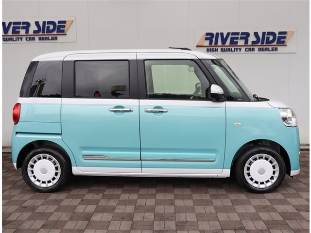 ムーヴキャンバスストライプス G