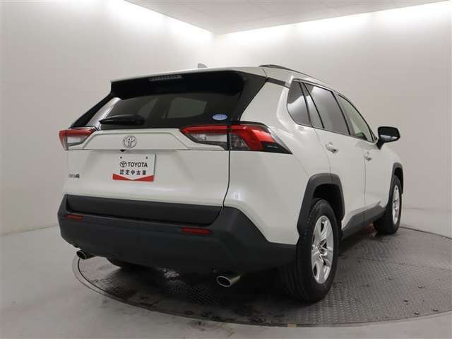 RAV42.0 X
